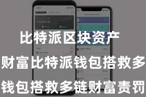 比特派区块资产 二、导入财富比特派钱包搭救多链财富责罚