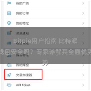 Bitpie用户指南 比特派钱包安全吗？专家详解其全面优势