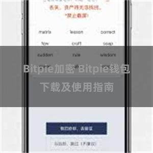 Bitpie加密 Bitpie钱包下载及使用指南