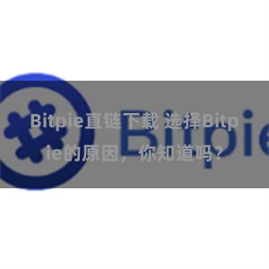 Bitpie直链下载 选择Bitpie的原因，你知道吗？