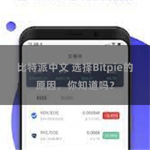 比特派中文 选择Bitpie的原因，你知道吗？