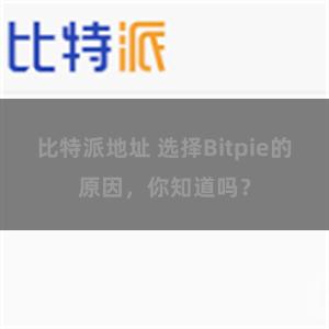 比特派地址 选择Bitpie的原因，你知道吗？