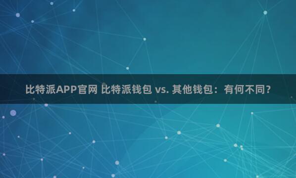 比特派APP官网 比特派钱包 vs. 其他钱包：有何不同？