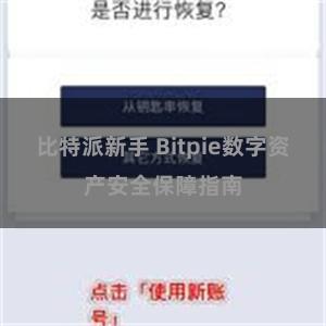 比特派新手 Bitpie数字资产安全保障指南